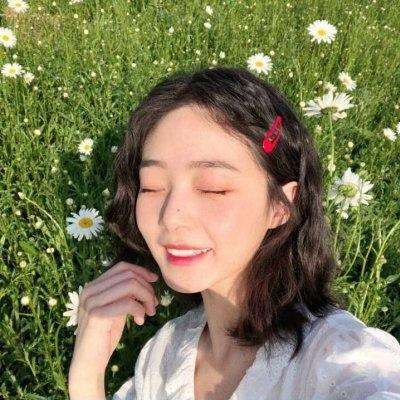 战姬纹章手游下载