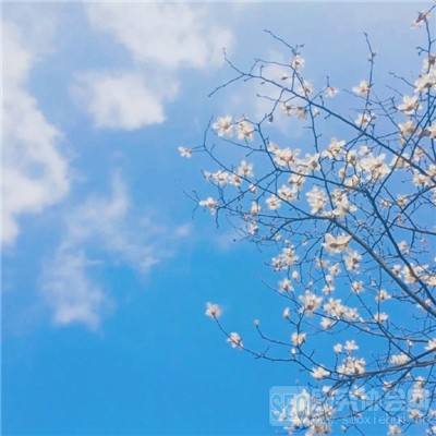 搜仙记h5游戏下载